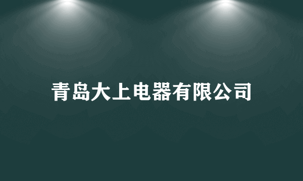 青岛大上电器有限公司