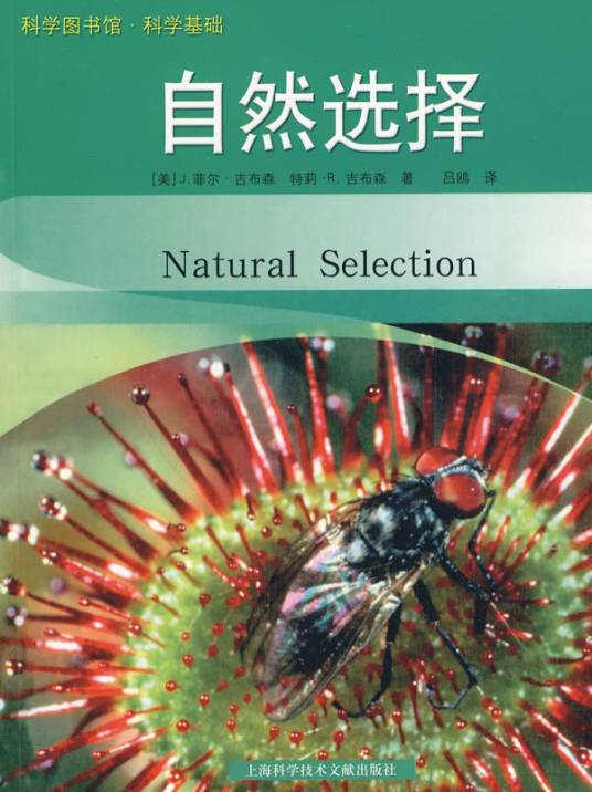稳定选择