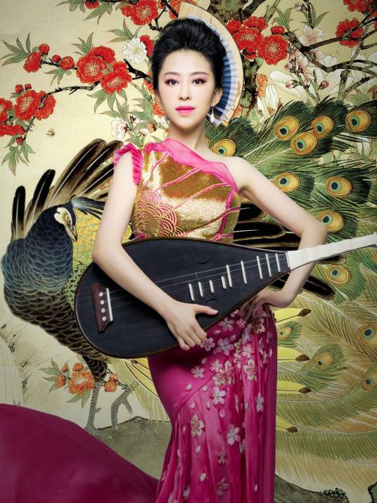 赵聪（第十四届全国政协委员、民族和宗教委员会委员，中央民族乐团团长、著名琵琶演奏家）