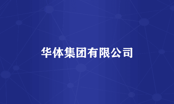 华体集团有限公司