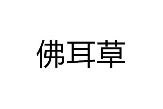 佛耳草