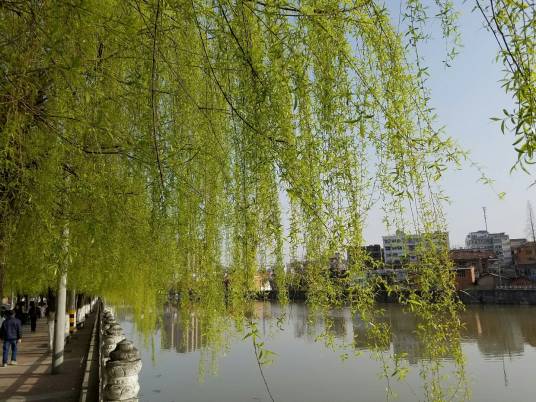 城关镇（陕西省汉阴县城关镇）