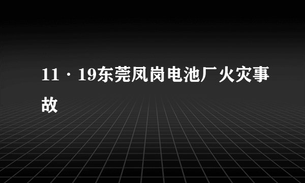11·19东莞凤岗电池厂火灾事故