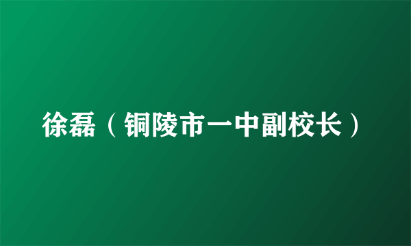 徐磊（铜陵市一中副校长）