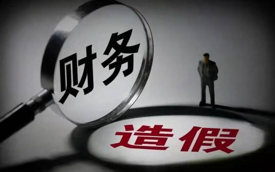 财务造假