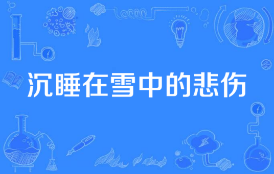 沉睡在雪中的悲伤