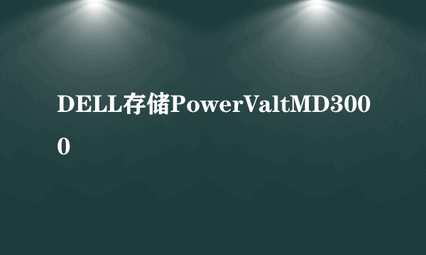 DELL存储PowerValtMD3000