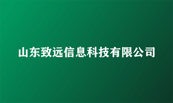 山东致远信息科技有限公司