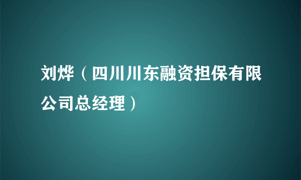 刘烨（四川川东融资担保有限公司总经理）