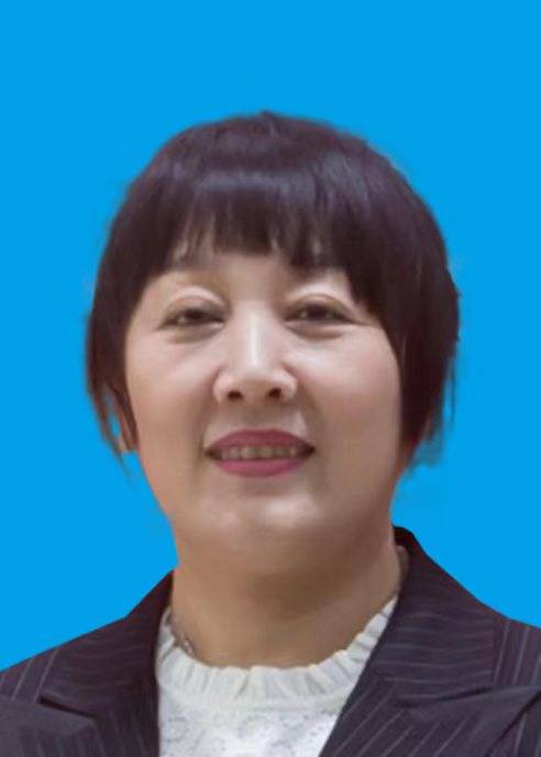 王国芝（黑龙江省哈尔滨市平房区委常委、政法委书记，哈经开区党工委委员）