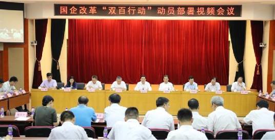 国企改革“双百行动”