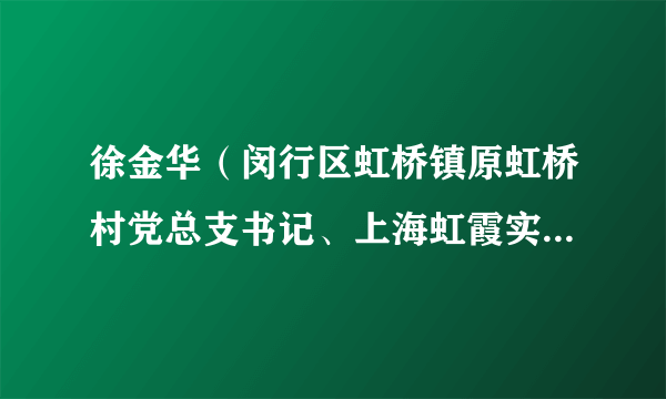 徐金华（闵行区虹桥镇原虹桥村党总支书记、上海虹霞实业有限公司党总支原书记）