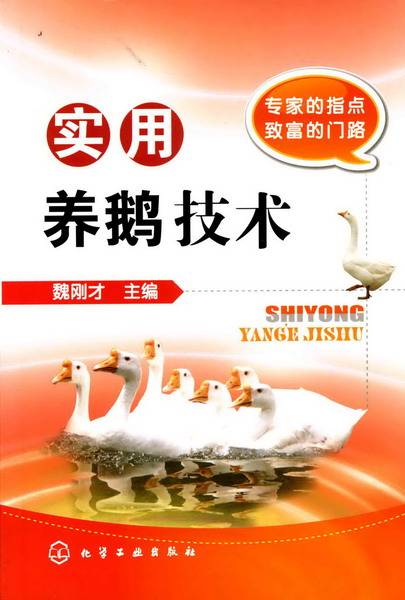 实用养鹅技术（2009年1月化学工业出版社出版的图书）