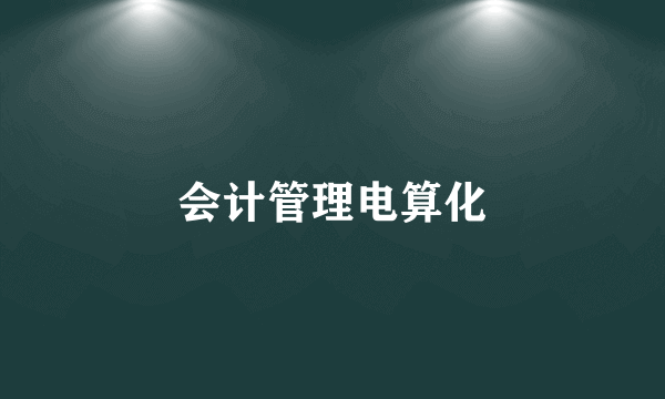 会计管理电算化