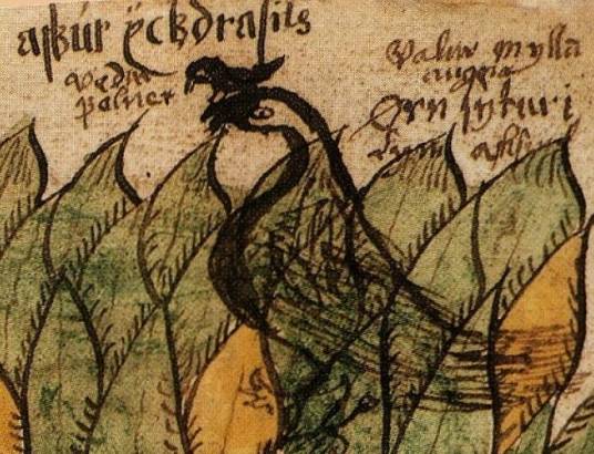 维德佛尔尼尔（北欧神话的神鹰）