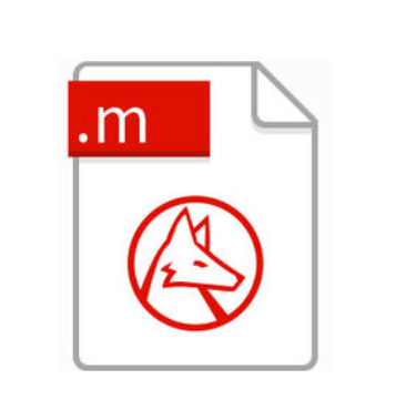 m（文件格式）
