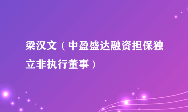 梁汉文（中盈盛达融资担保独立非执行董事）