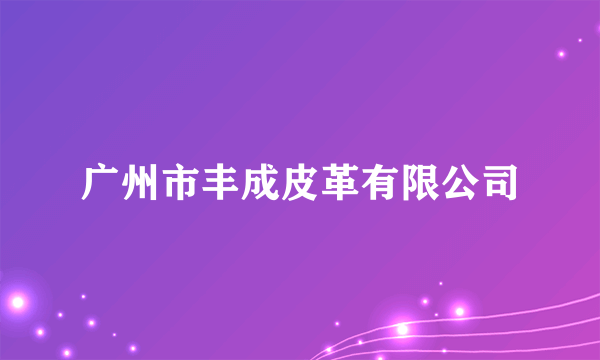 广州市丰成皮革有限公司