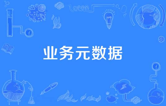 业务元数据