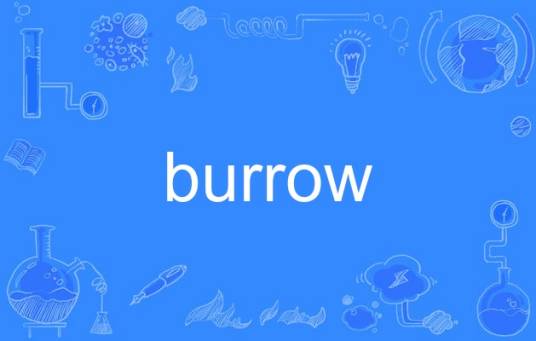Burrow