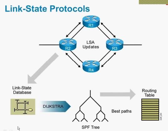链路状态路由协议