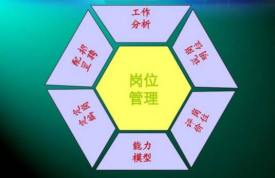 岗位管理（管理领域术语）