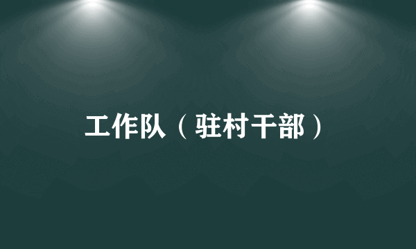 工作队（驻村干部）
