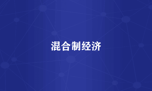 混合制经济