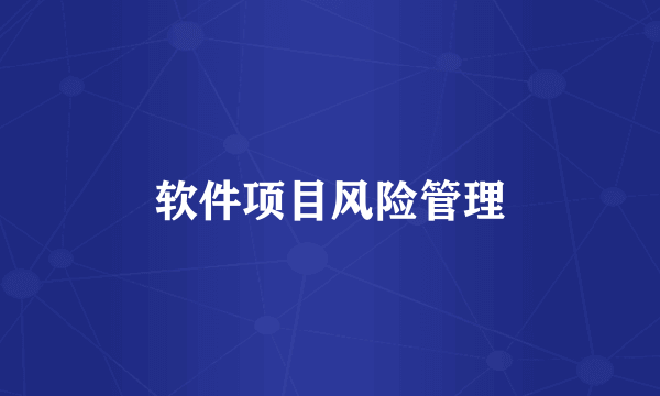 软件项目风险管理