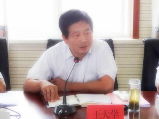 王大学（前陕西省商洛市山阳县县委常委、组织部部长）