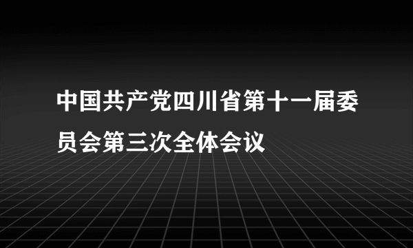 中国共产党四川省第十一届委员会第三次全体会议
