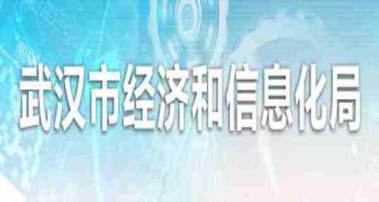 武汉市经济和信息化局