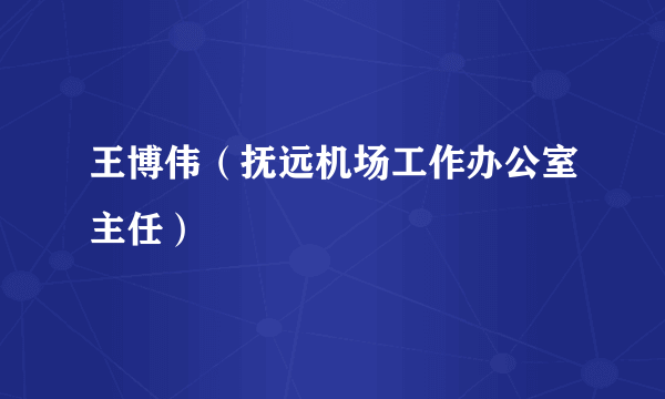 王博伟（抚远机场工作办公室主任）