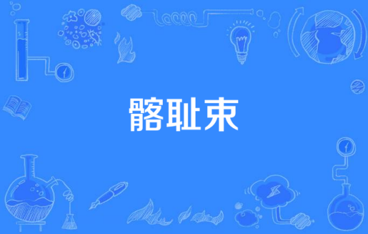髂耻束