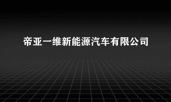帝亚一维新能源汽车有限公司