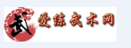 爱练武术网