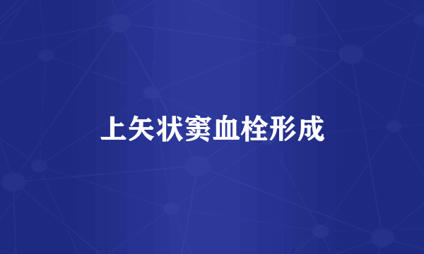 上矢状窦血栓形成