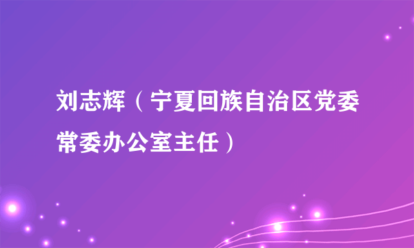刘志辉（宁夏回族自治区党委常委办公室主任）