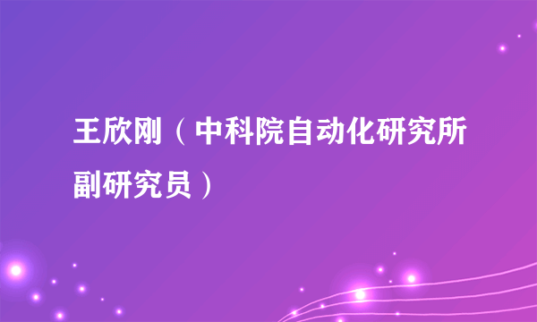 王欣刚（中科院自动化研究所副研究员）