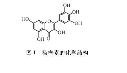 杨梅树皮素