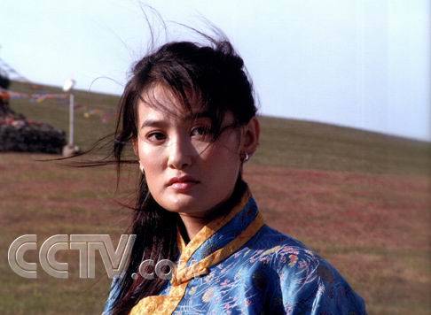 美丽的草原我的家（2004年顾晶执导电视剧）