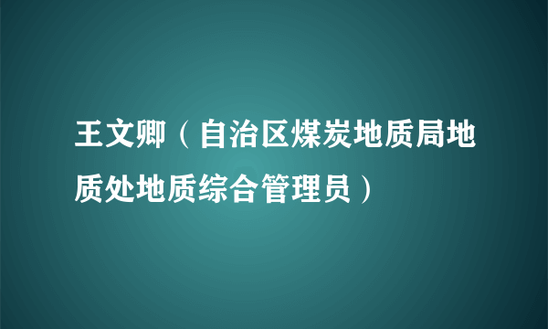 王文卿（自治区煤炭地质局地质处地质综合管理员）