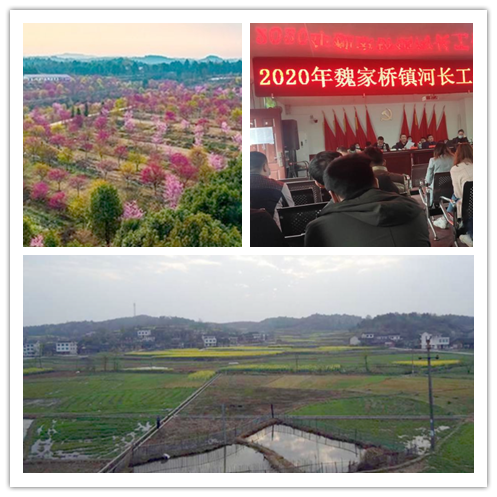 魏家桥镇（湖南省邵阳市邵东市下辖镇）