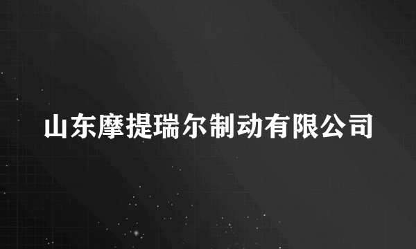 山东摩提瑞尔制动有限公司