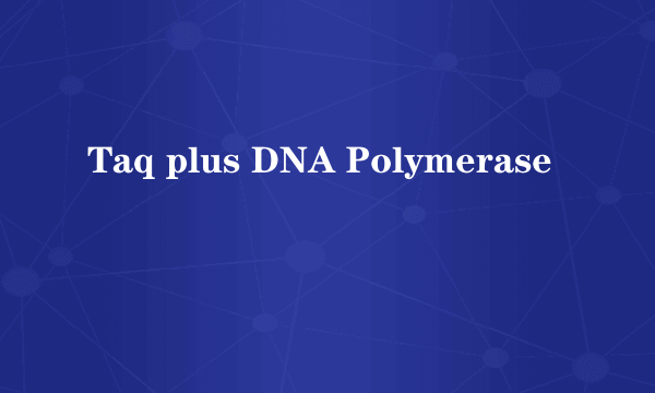 Taq plus DNA Polymerase