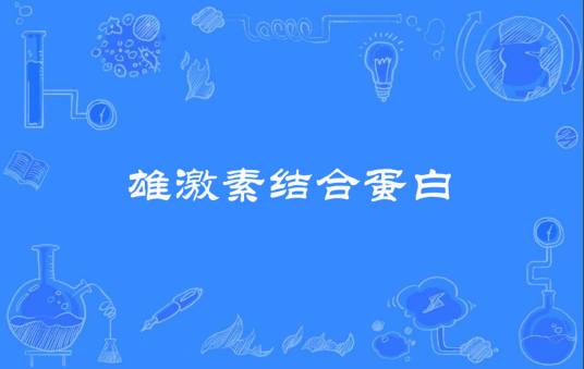 雄激素结合蛋白