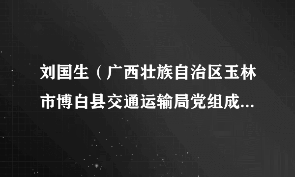 刘国生（广西壮族自治区玉林市博白县交通运输局党组成员、副局长）