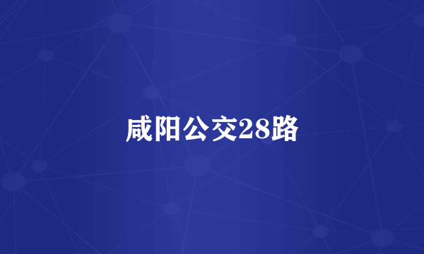 咸阳公交28路