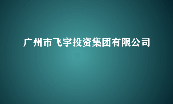 广州市飞宇投资集团有限公司