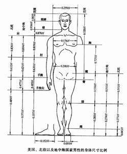 认识人体工程学